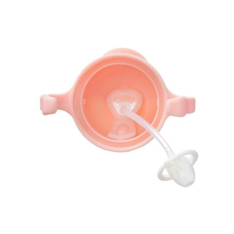 Bidon ze słomką 240ml tutti f. BBOX