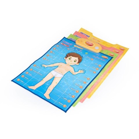 Edukacyjne plakaty człowiek DUMEL