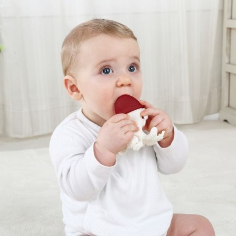 Gryzak ośmiornica curry MOMBELLA