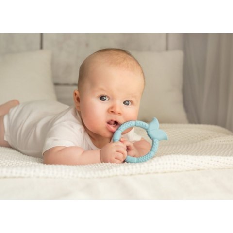 Gryzak sensor. kwiatek niebi. GILIGUMS