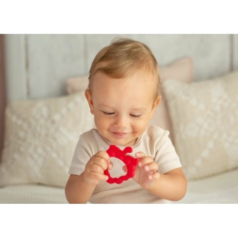 Gryzak truskawka GILIGUMS