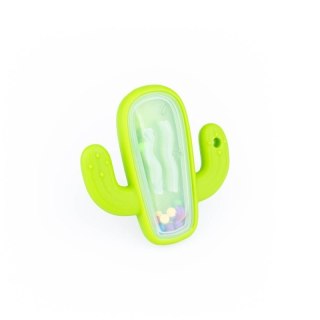Grzechotka kaktus GILIGUMS