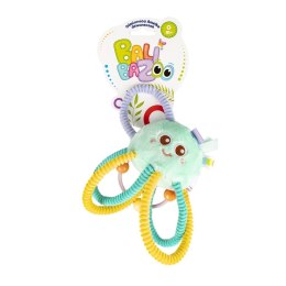 OŚMIORNICA AMELKA DZWONECZEK