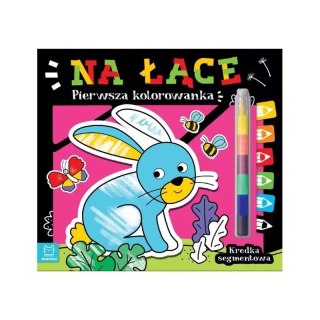 Pierwsza kolorowanka na łące AKSJOMAT