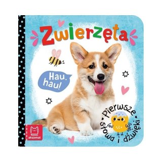 Pierwsze słowa dźwięki zwierz. AKSJOMAT