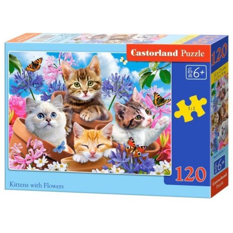 Puzzle 120el. kittens flowers CASTOR