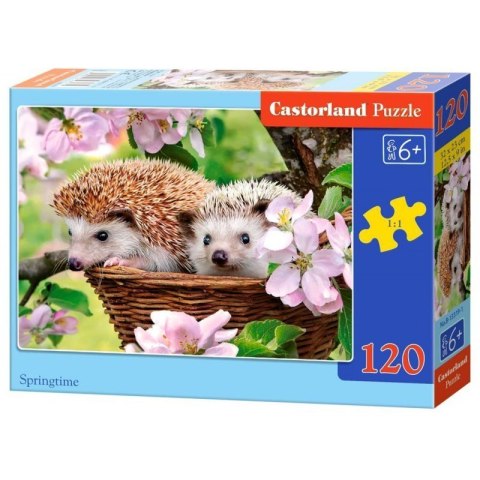 Puzzle 120el. springtime CASTOR