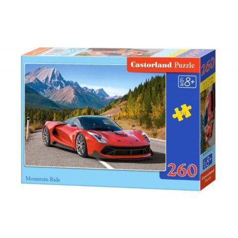 Puzzle 260 el. mountain ride CASTOR