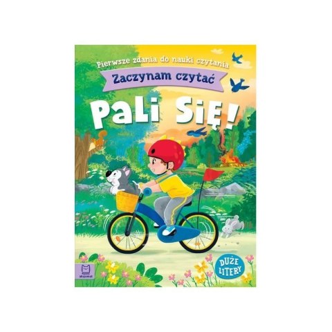 Zaczynam czytać pali się AKSJOMAT