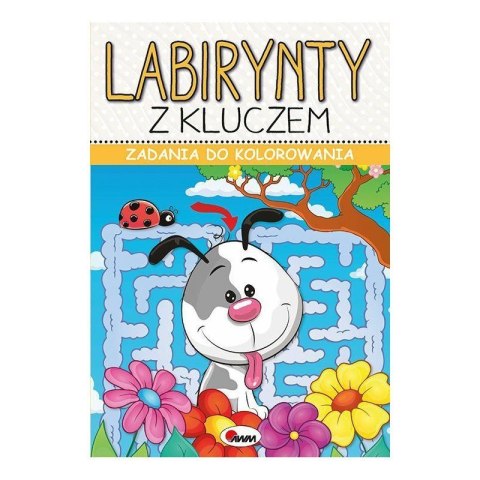 Zadania do kol. lab. z kluczem AWM WYDAWNICTWO