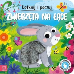 Zwierzęta na łące sensoryczna