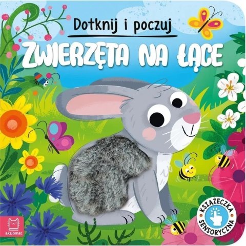 Zwierzęta na łące sensoryczna