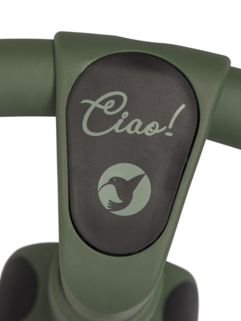 COLIBRO Rowerek dziecięcy CIAO FOREST GREEN